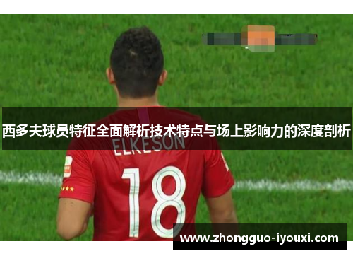 西多夫球员特征全面解析技术特点与场上影响力的深度剖析